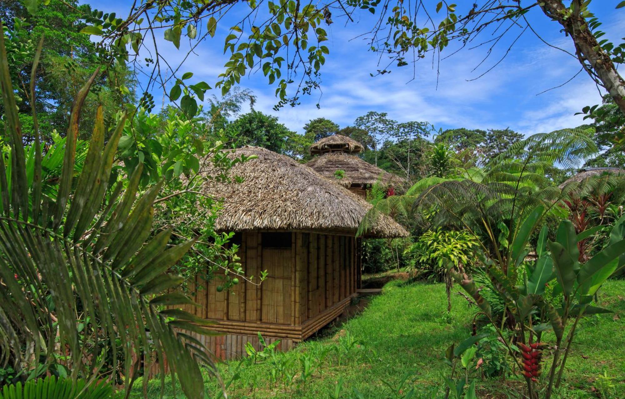 La Selva Eco-Lodge & Retreat Providencia Exterior photo